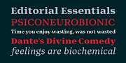 Editora, a Serif Font by Untype (Thumbnail 5 of 12)