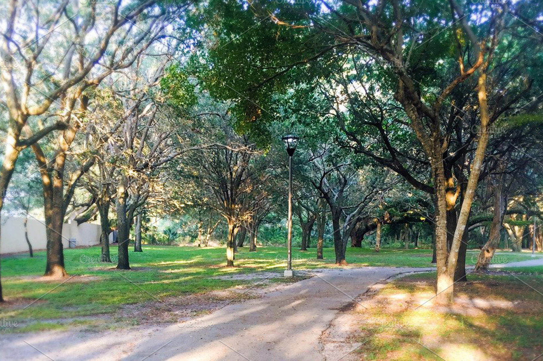 Pathway Green Trees Digital Photo, a Nature Photo by Godserv Designs