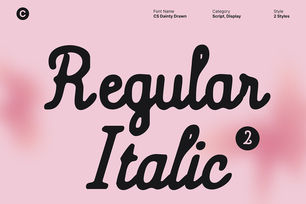 CS Dainty Drawn, a Script Font by Craft Supply Co. (Photo 2 of 8)