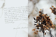 Forgotten Melody Font + EXTRAS, a Script Font by AnMark (Thumbnail 2 of 14)