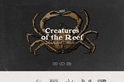 Vintage Bundle - 6600+ Illustrations, an Animal Illustration by Nomad Visuals (Thumbnail 29 of 45)
