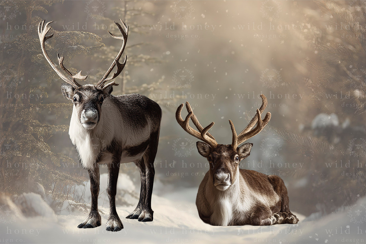 Reindeer PNG Overlays, an Object Graphic by Wild Honey Design Co. (Photo 6 of 7)