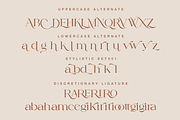 Fragile Chique Serif Font, a Serif Font by zeenesia (Thumbnail 12 of 15)