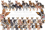 Texas Heeler dog, an Animal Illustration by pet design shop (Thumbnail 1 of 6)
