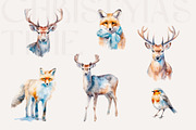 Watercolor Winter Collection, an Object Illustration by bloomscape (Thumbnail 6 of 10)