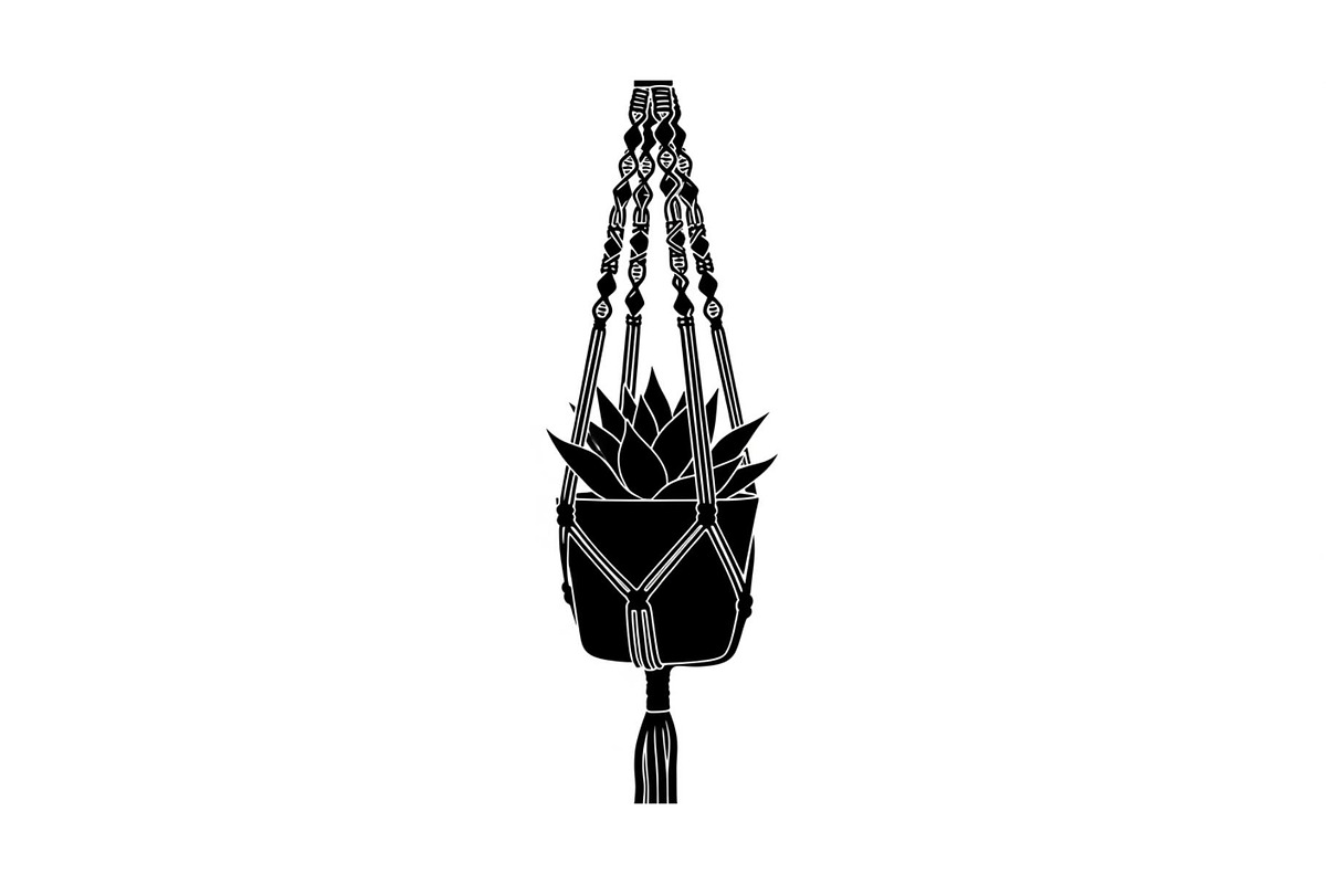 Macrame Plant Hanger Bundle, an Illustration by Creativeshirt (Photo 29 of 31)