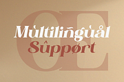 Galinoy - Bold Modern Serif Display, a Serif Font by Qweera Studio (Thumbnail 12 of 12)