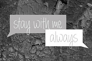 Always Forever, a Script Font by Brittney Murphy Design (Thumbnail 3 of 3)