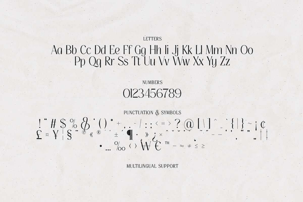 Thereon - Modern Romantic Serif Font, a Serif Font by VP Fonts (Photo 20 of 21)