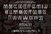 Water, a Script Font by InermediaSTUDIO (Thumbnail 5 of 8)