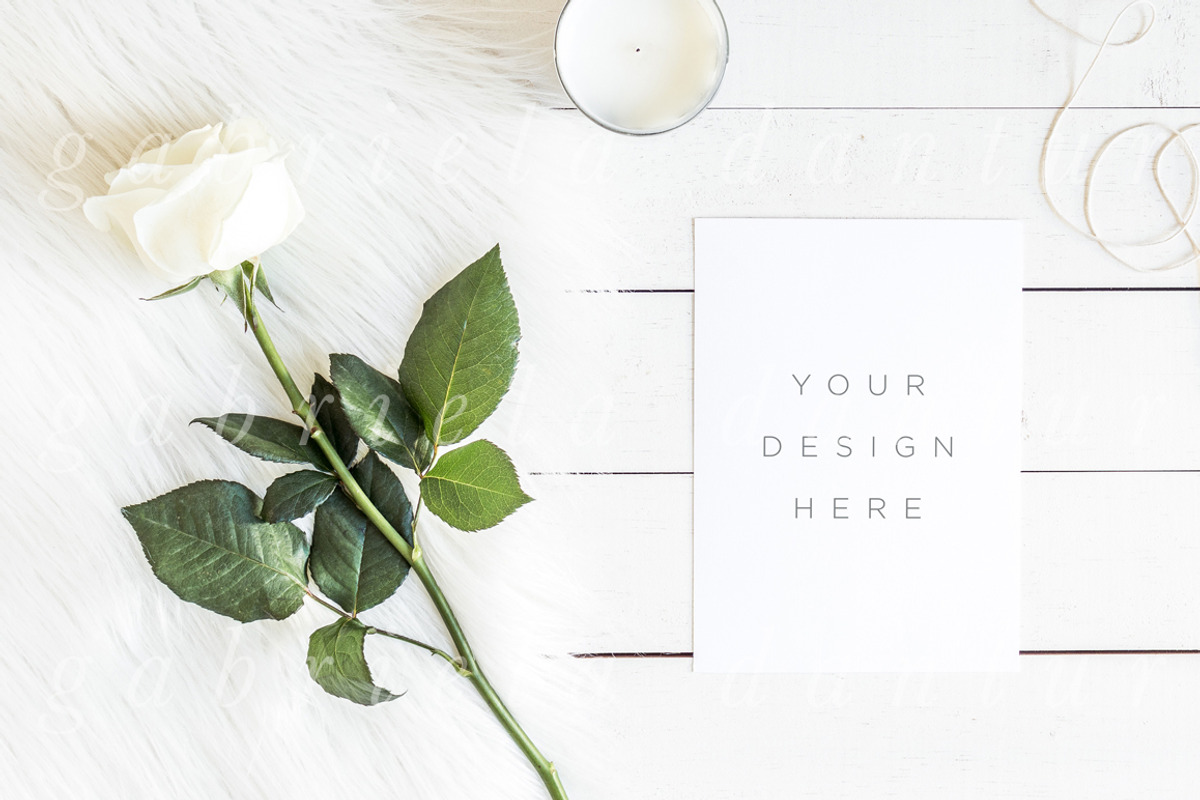 Green & White Mockups Bundle + Bonus, a Product Mockup by Salt Color Studio (Photo 9 of 13)