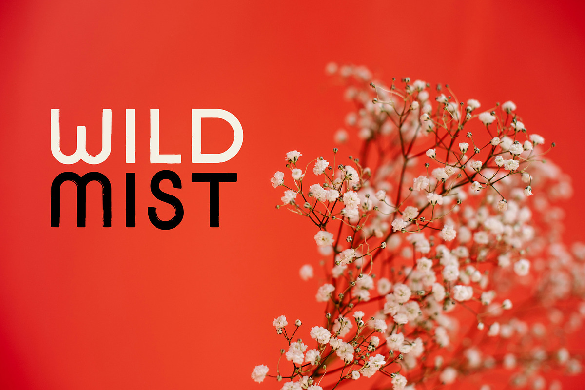 Engawa Japan Inspired Geomeric Sans, a Sans Serif Font by Struvictory.art (Photo 7 of 9)
