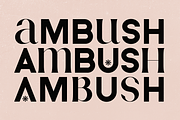 Neat Type - elegant fusion font, a Serif Font by VP Fonts (Thumbnail 11 of 13)