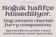 DT Augustina Slab 6 Subfamily, a Slab Serif Font by Deveze Type Foundry (Thumbnail 7 of 30)