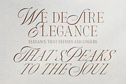 Silver Brands - Elegant Mixed Serif, a Serif Font by Bale Type (Thumbnail 2 of 9)