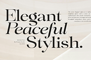 Zelinda - Modern Elegant Serif Font, a Serif Font by Pixesia Studio (Thumbnail 2 of 10)