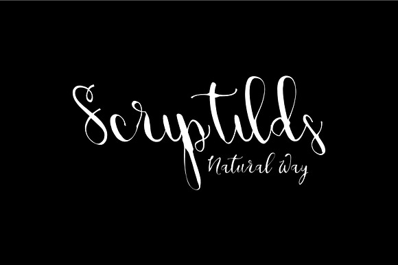Scriptilds preview 3