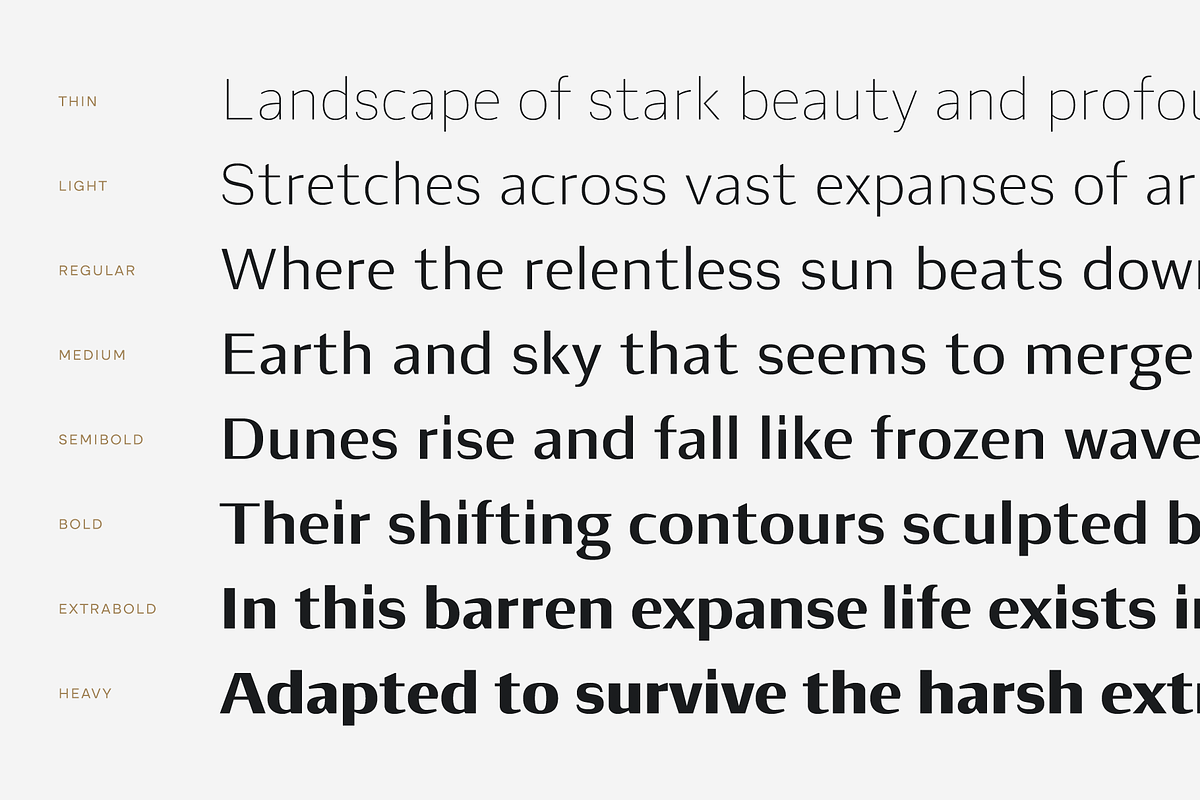 Luvian; Elegant Font Family, a Sans Serif Font by Eko Bimantara (Photo 6 of 15)