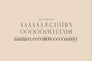 Nebiard Classic Serif Font, a Serif Font by Storytype Studio (Thumbnail 14 of 15)