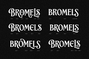 Brillante Siempre - Fancy Serif, a Serif Font by Arterfak Project (Thumbnail 10 of 12)