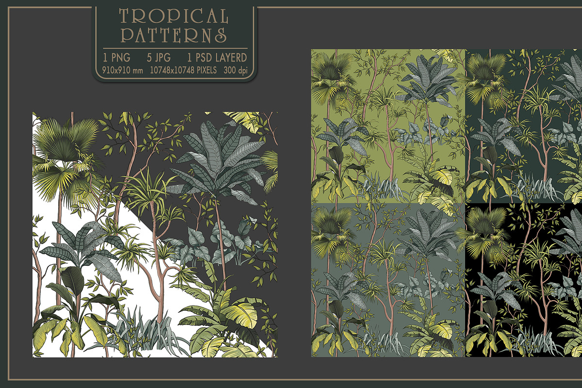 Fresco collection Tropical mural, a Wallpaper Graphic by Natalia0307 (Photo 3 of 19)