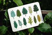 29 Leaf Leaves Natural Plant Element, a Decorative Illustration by jongcreative (Thumbnail 4 of 6)