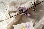 SPRING BOX Watercolor Bundle 400+, a Decorative Illustration by Muse Artist (Thumbnail 38 of 99)