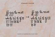 Karmeliya a Handwritten Script Font, a Script Font by Dawnside Graphic (Thumbnail 10 of 13)