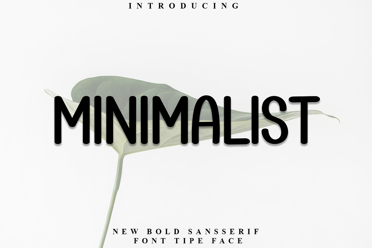 Minimalist, a Sans Serif Font by InermediaSTUDIO (Photo 1 of 8)