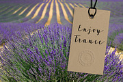 Lavandia, a Script Font by Tabita's shop (Thumbnail 4 of 5)