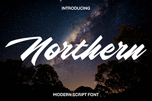 Northern - Modern Script Font Family, a Script Font by Luna Shop