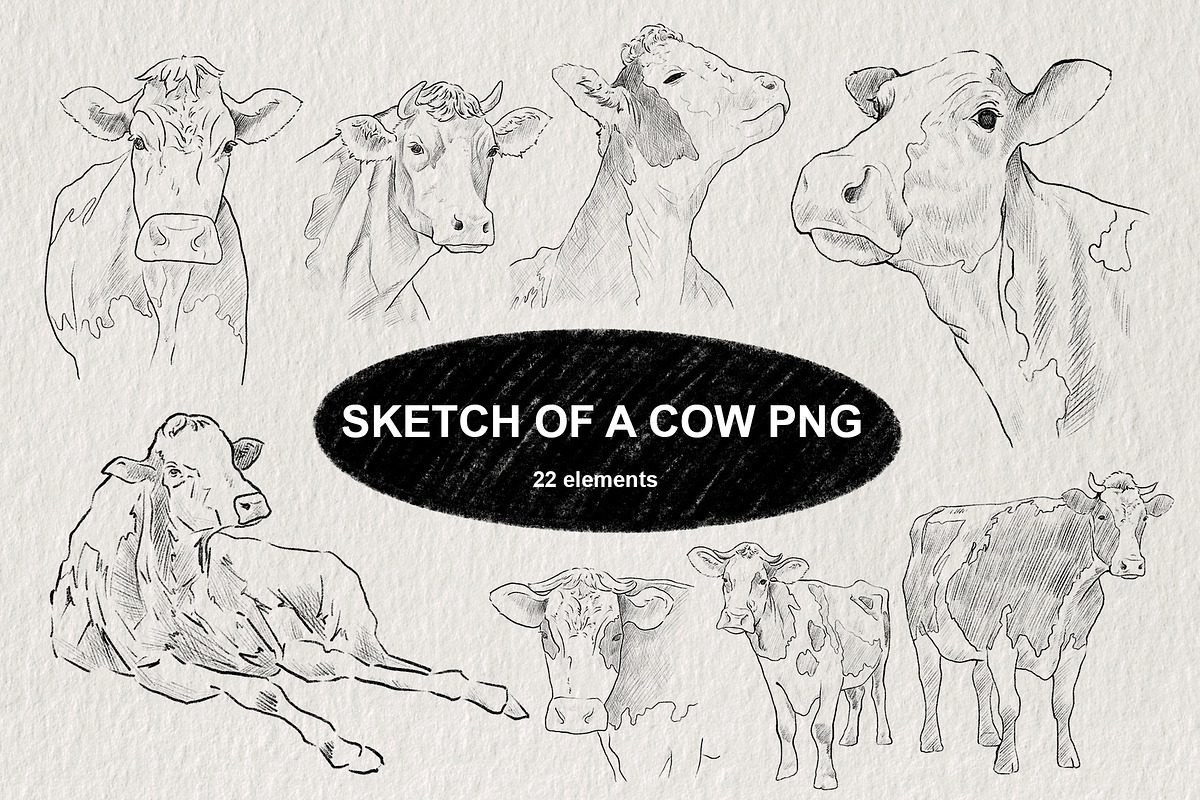 Sketch of a cow PNG, an Animal Illustration by LOKSKIH (Photo 1 of 7)
