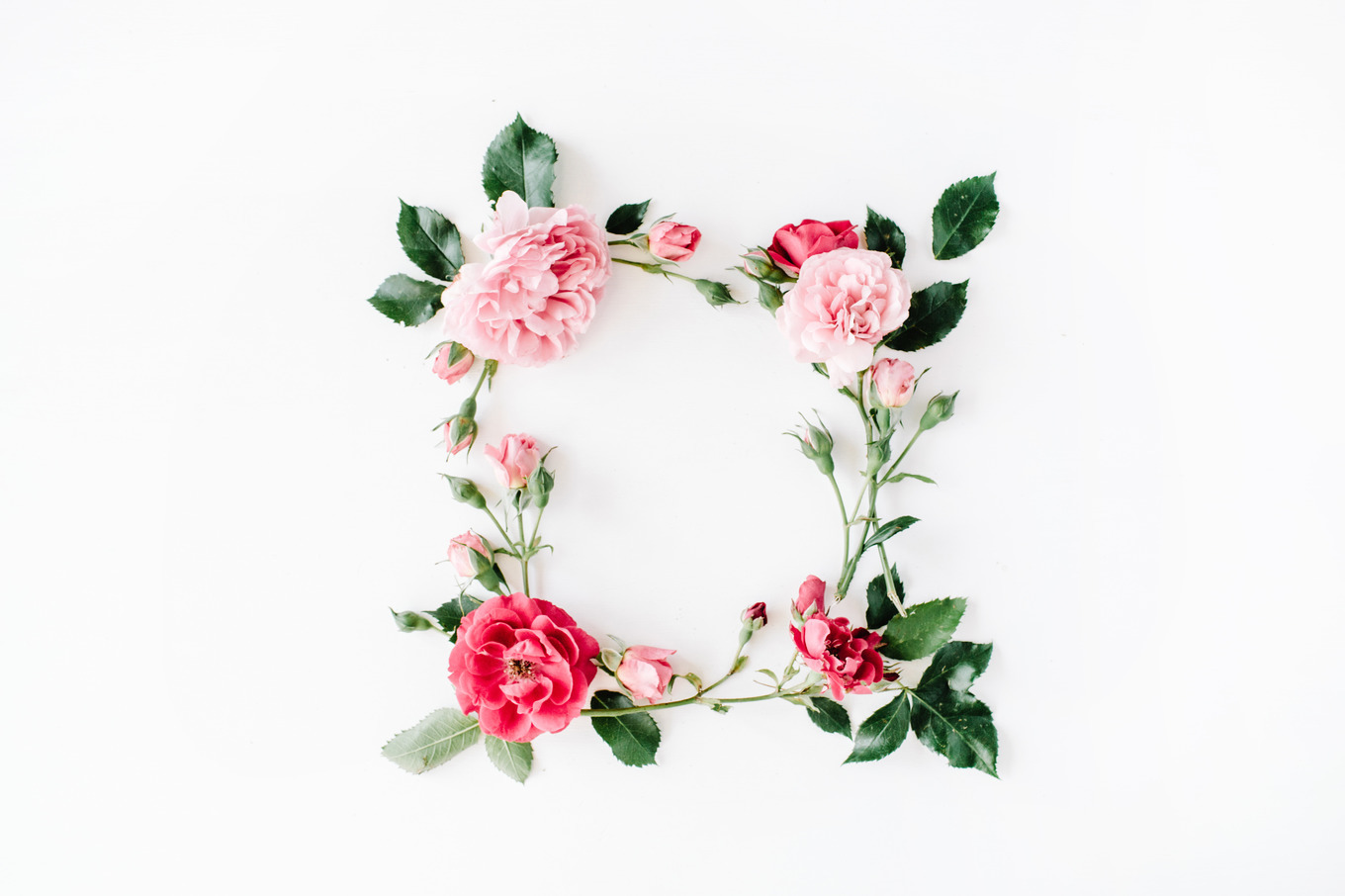 Floral frame with roses featuring roses, leaves, and isolated, an ...