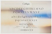 Calliga // Stylish Ligature Serif, a Serif Font by BrandSemut (Thumbnail 10 of 10)