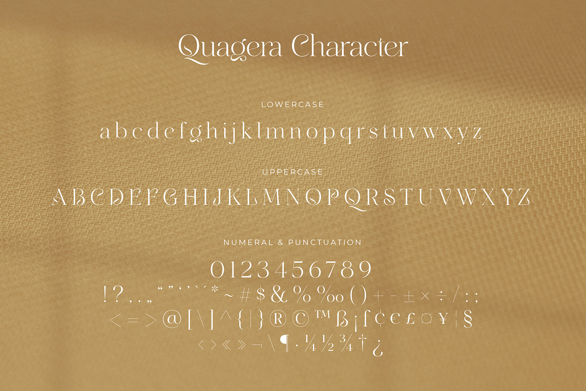 Quagera | Serif Font, a Serif Font by Digitype Studio (Photo 11 of 12)