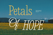 CS Somers – Condensed Font, a Serif Font by Craft Supply Co. (Thumbnail 5 of 8)