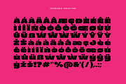 Wister - Bold Font, a Sans Serif Font by limitype (Thumbnail 11 of 12)