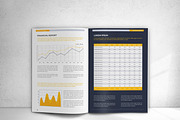 Annual Report, a Brochure Template by design_pick (Thumbnail 14 of 17)