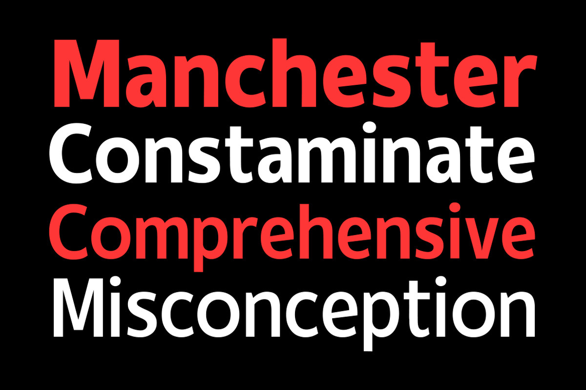 Milcone - Variable Sans, a Sans Serif Font by Letterhend Studio (Photo 2 of 9)
