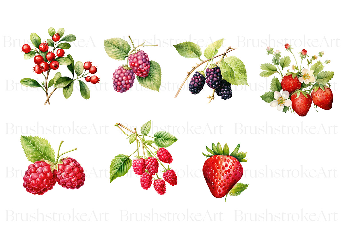 Watercolor Berry Clipart, Strawberry, a Food Illustration by BrushstrokeArtGB (Photo 5 of 9)