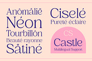 CS Castle – Elegant Font, a Serif Font by Craft Supply Co. (Thumbnail 5 of 8)