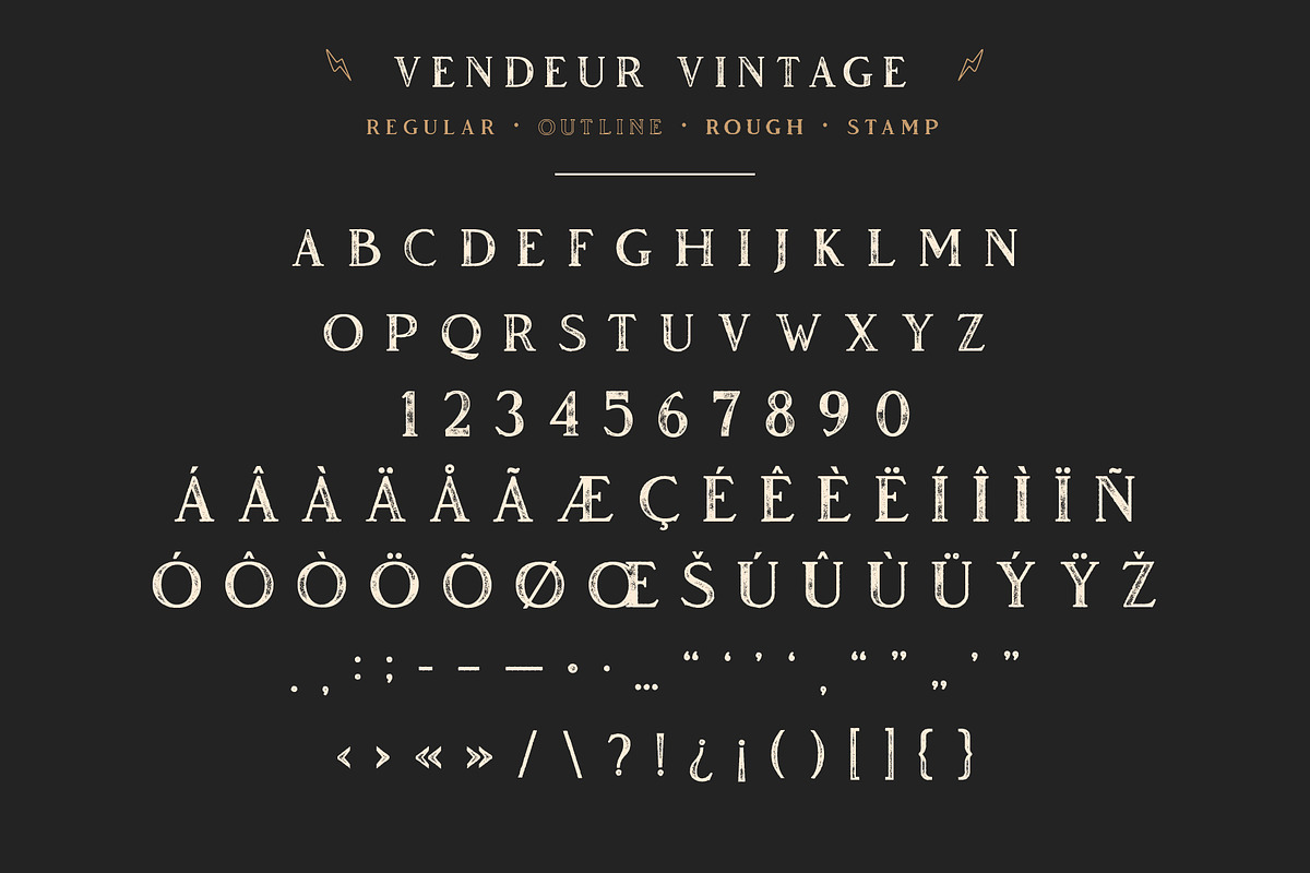 Vendeur Vintage Font Family + Extras preview 8