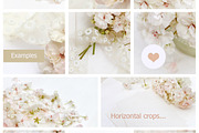Styled photos bundle, a Background Photo by Bubert Art (Thumbnail 2 of 12)