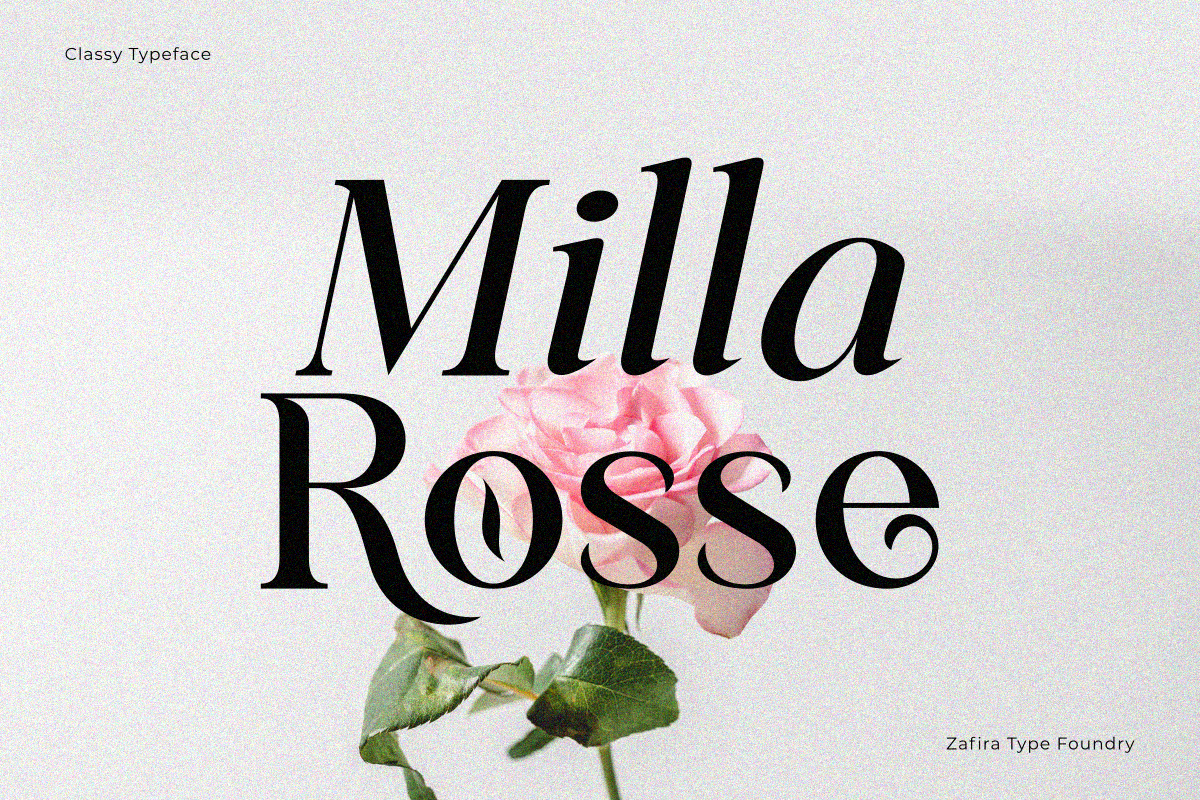 Classical Premiera, a Serif Font by Zafiratype (Photo 2 of 16)