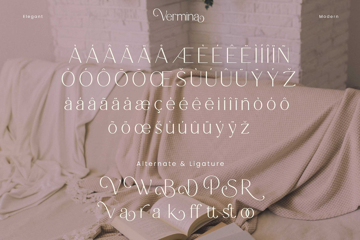 Vermina - Alternate Sans Serif, a Sans Serif Font by Flawless And Co (Photo 4 of 10)