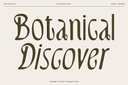 CS Delaney Drawn, a Serif Font by Craft Supply Co. (Thumbnail 4 of 8)