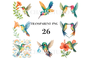 26 Hummingbird Clipart, an Animal Illustration by Pati Charm Studio (Thumbnail 3 of 8)