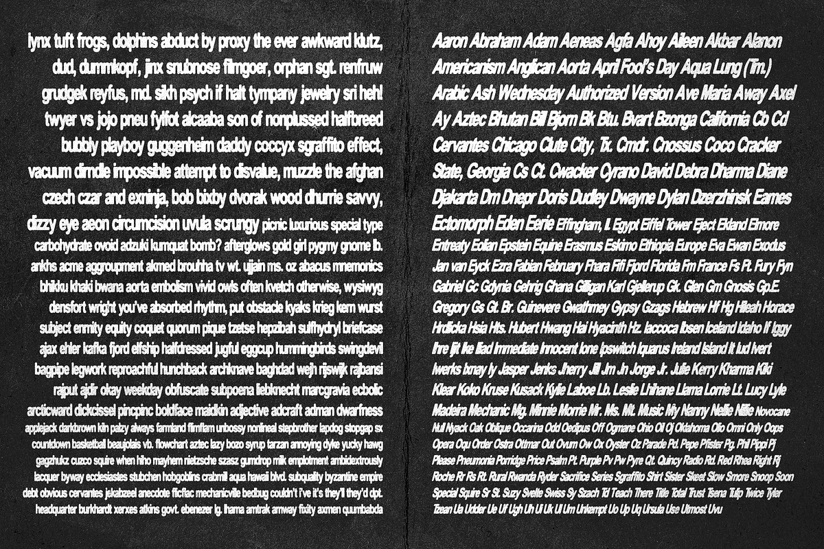 Poizier – Display Font, a Sans Serif Font by Hainz Studio (Photo 6 of 12)