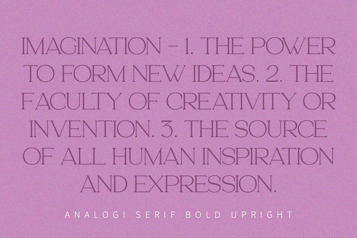 Analogi serif, a Serif Font by Soft Creative (Photo 12 of 13)