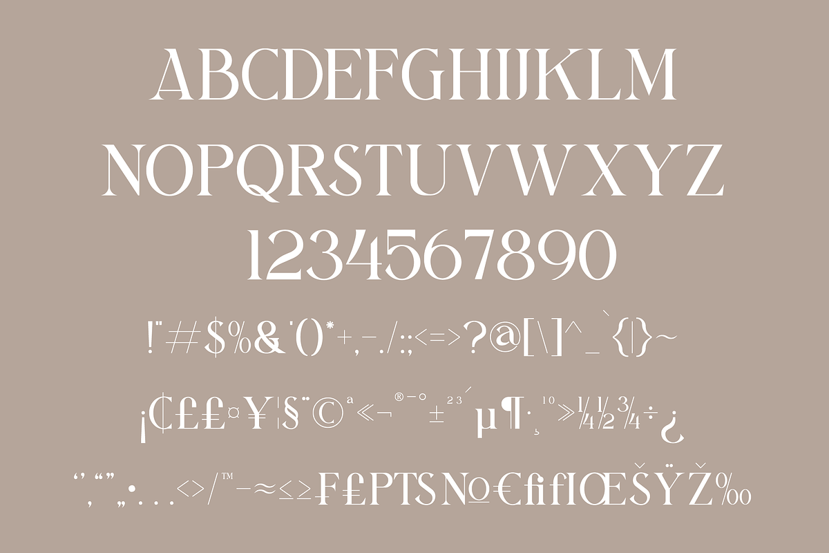 Bilargy Classic Serif Font, a Serif Font by Maryamtype Studio (Photo 12 of 15)